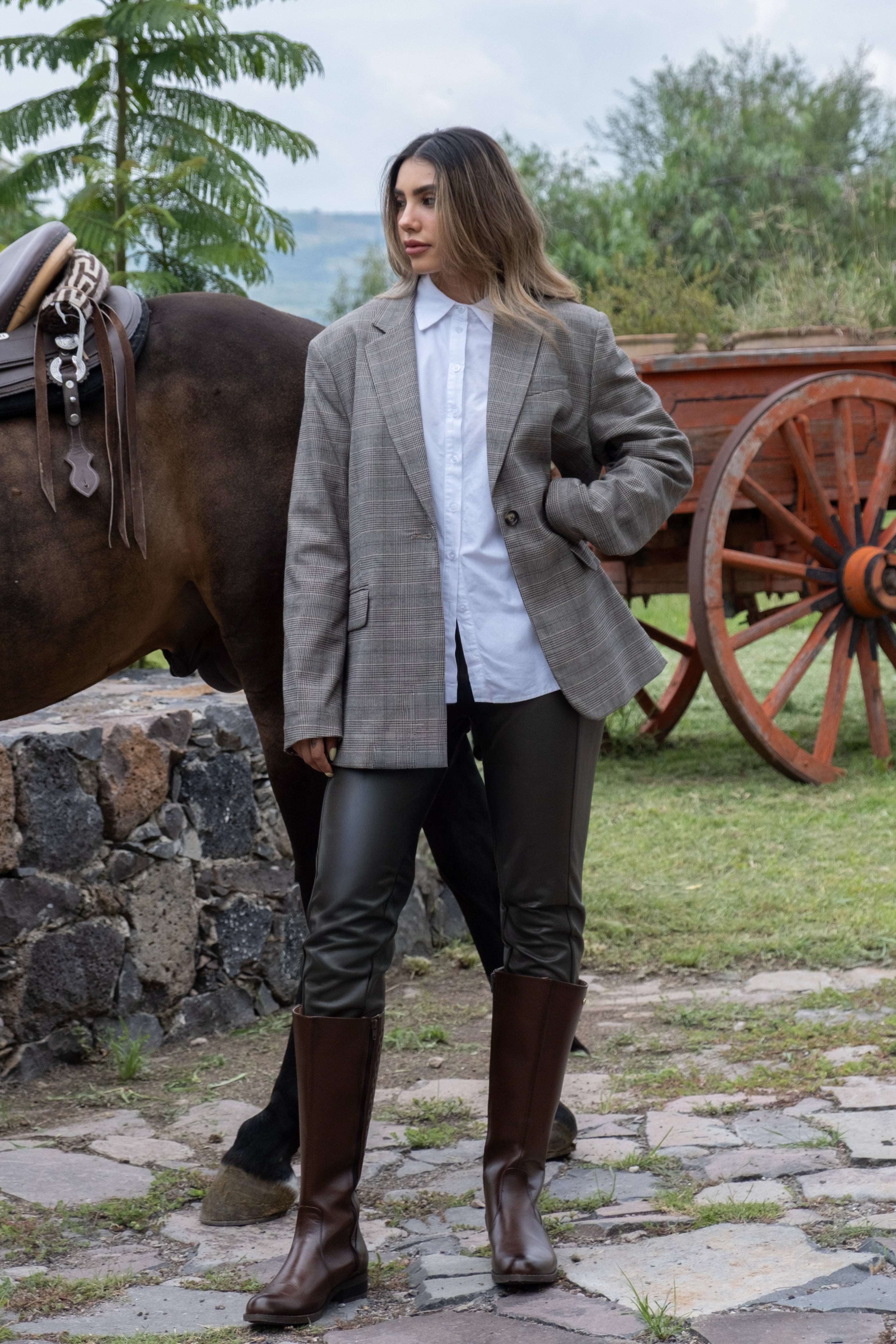 Bota Alta Dama 73661 Davina Brandy Calzado Cachorros