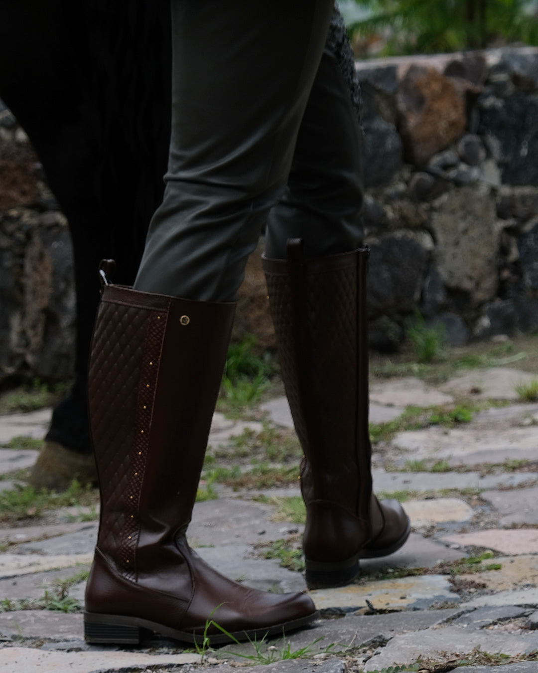 Bota Alta Dama 73661 Davina Brandy Calzado Cachorros